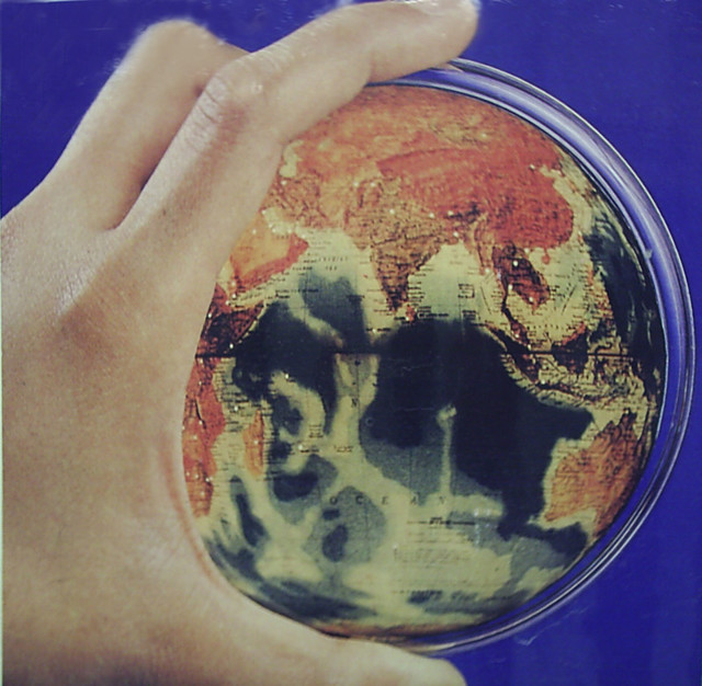 Увлекательный эксперимент на микробиологии