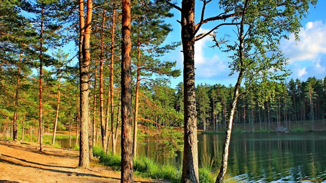 Природа Псковщины
