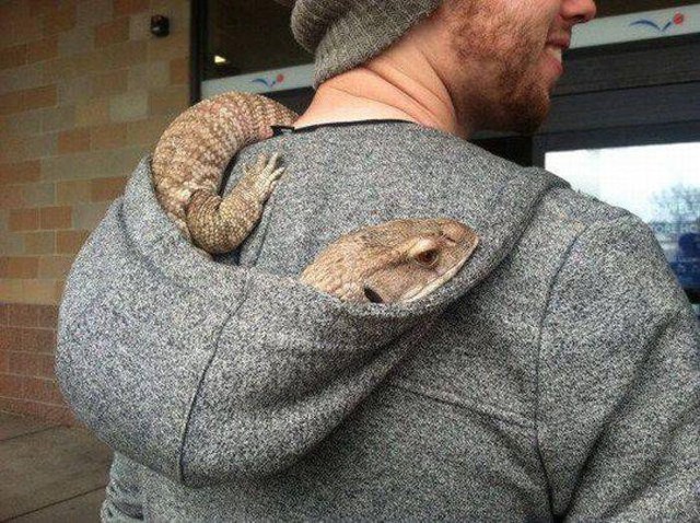 Фото картинки