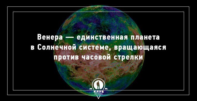 Факты обо всем