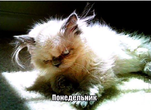 День как-то не задался