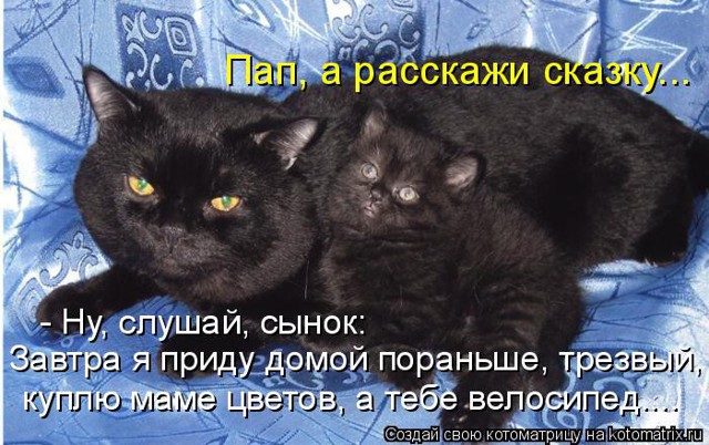 Поднимаем настроение! Зверюшки в студии!