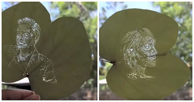 Художница превращает обычные листья в произведения искусства