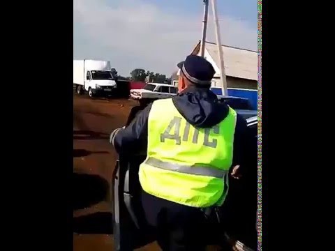 Веселая свадьба