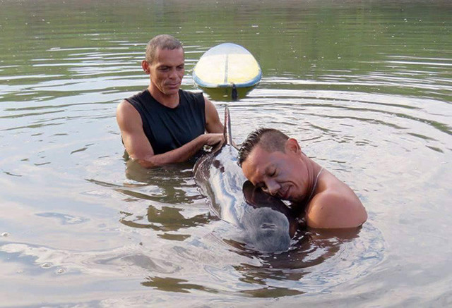 Серферы спасли плачущего китенка в Коста-Рике
