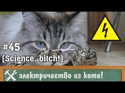 Как добыть электричество из кота?