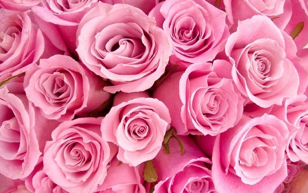 Все мы дети, пока живы наши родители