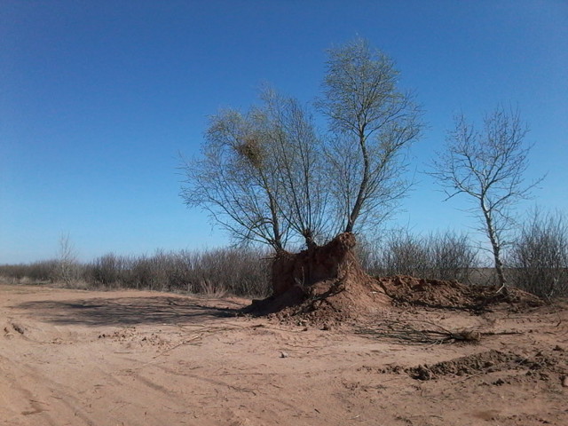 Фотосборник с пеших походов.