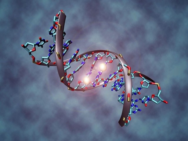 Интересные факты про ДНК, которые вы могли не знать