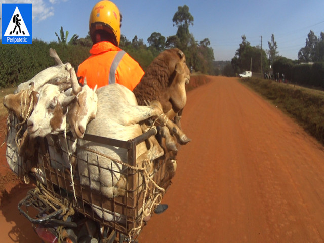 Перевозка животных в Африке