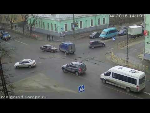 Бешенная газель