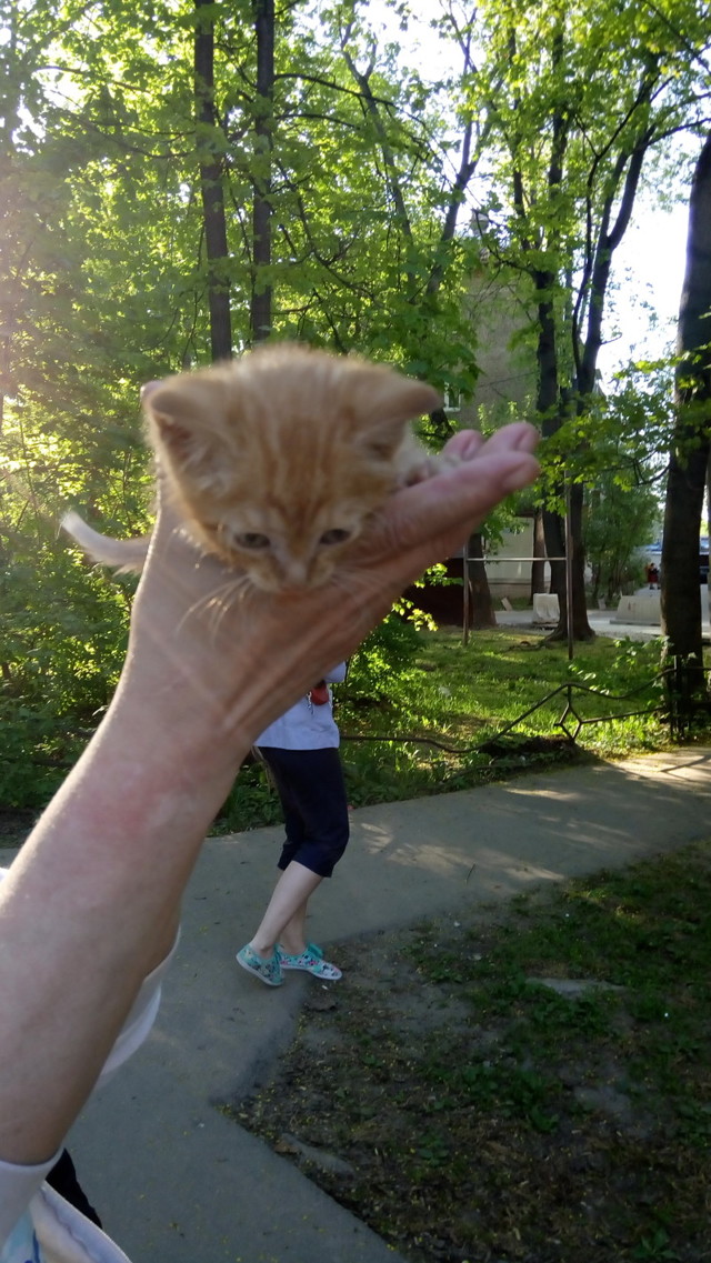 Кому любовь? Бесплатно отдаю 