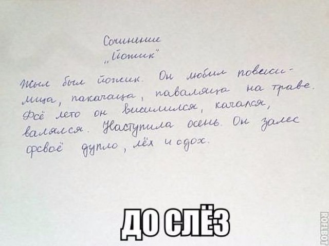 Смешные картинки с надписями