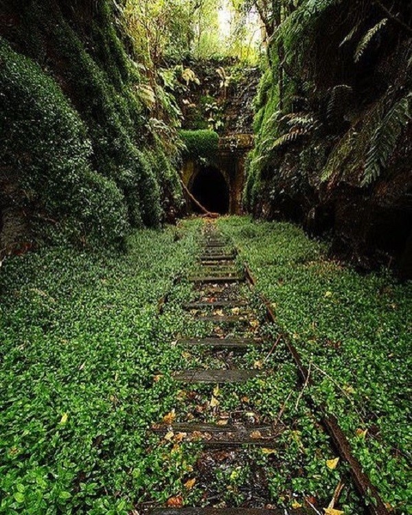 Заброшенный тоннель в Хеленсбурге, Австралия