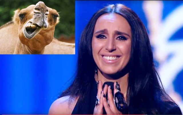 «Джамала» - по-арабски означает «верблюд»