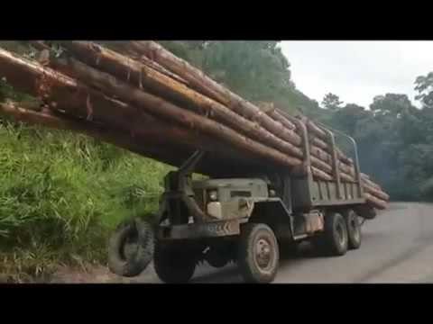 Русские и так могут