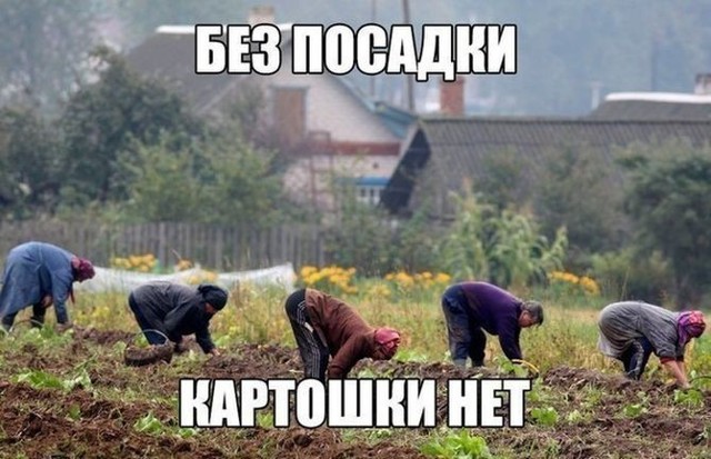 Свежая подборка автоприколов