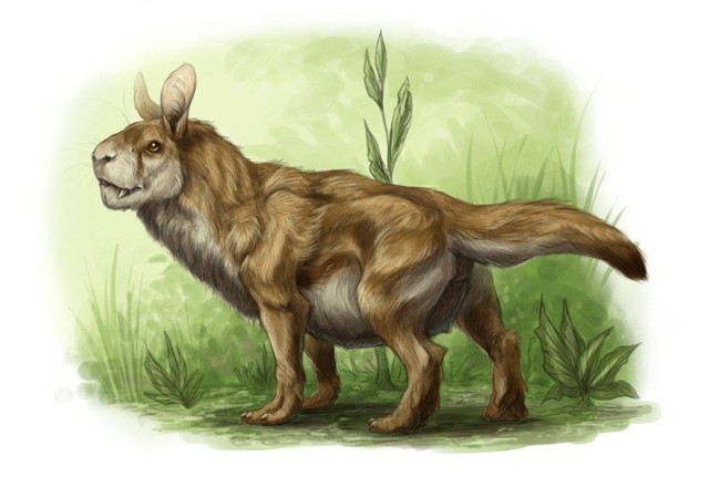 Тайны животных, которые, наконец, могут быть разгаданы