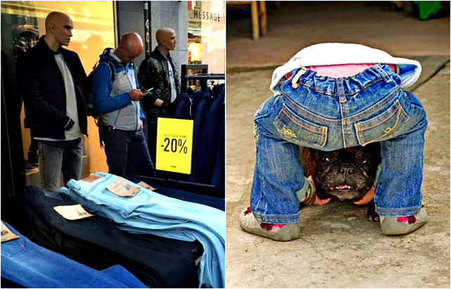 Что происходит или 17 смешных фотографий, к которым нужно присмотреться