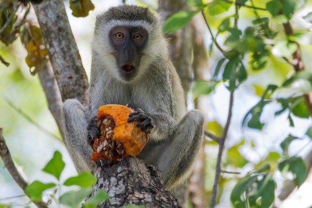 Фотоподборка за 26.05.2016