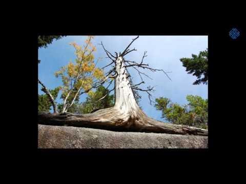 Экспедиция в Горную Шорию. Г.А. Сидоров