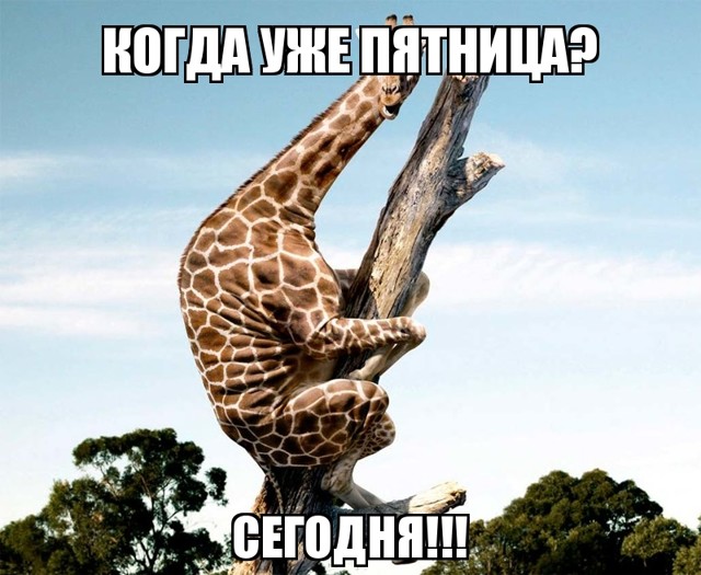 Пятничных каубов пост!