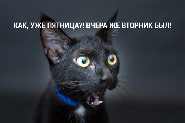 Пятницаааааааааааа!!!!!!!!!!!