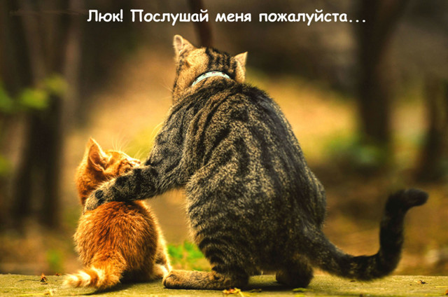 Виды наставничества. Как это влияет на нашу жизнь?