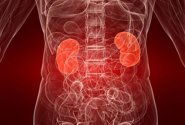 Привычки, которые уничтожают почки