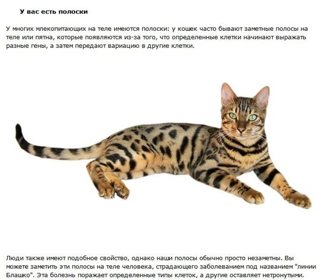 10 фактов о человеческом теле