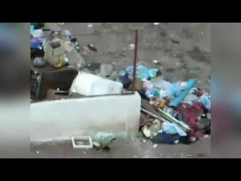 Голодный кот и банка
