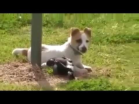 Улыбнитесь к концу первого рабочего дня