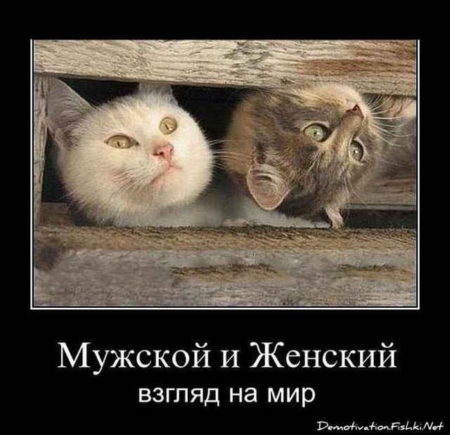 Демотиватоы