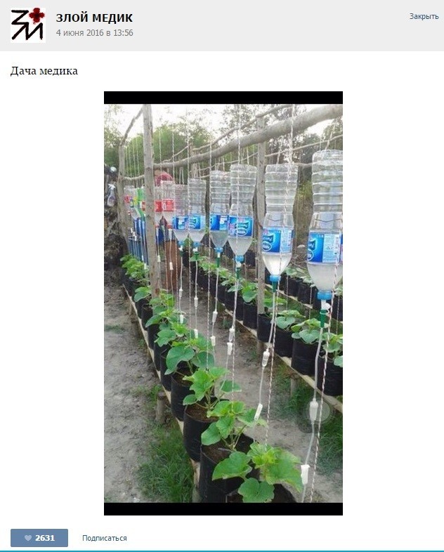 Истории от врачей