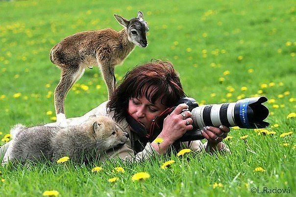Фотограф-анималист