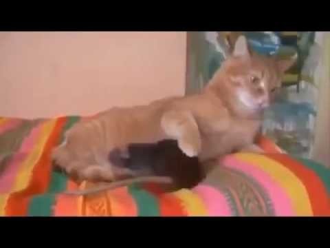 Когда на выходные тебя куда-то зовут