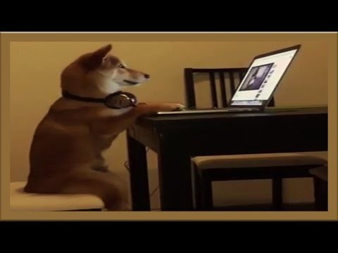 Жизнь удалась