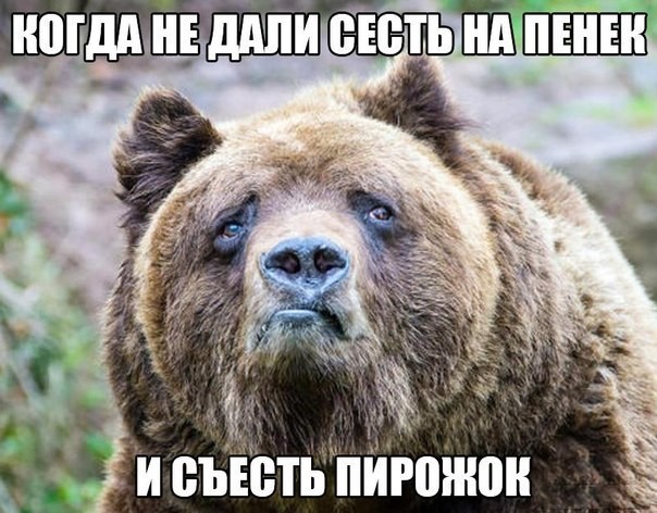 Смешные картинки с надписями