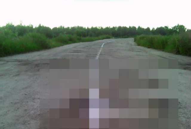 Дорожную разметку в Рязанской области нанесли на ямы с лужами