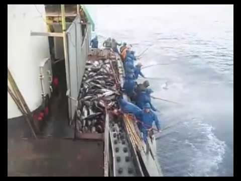 Рыбалка в море