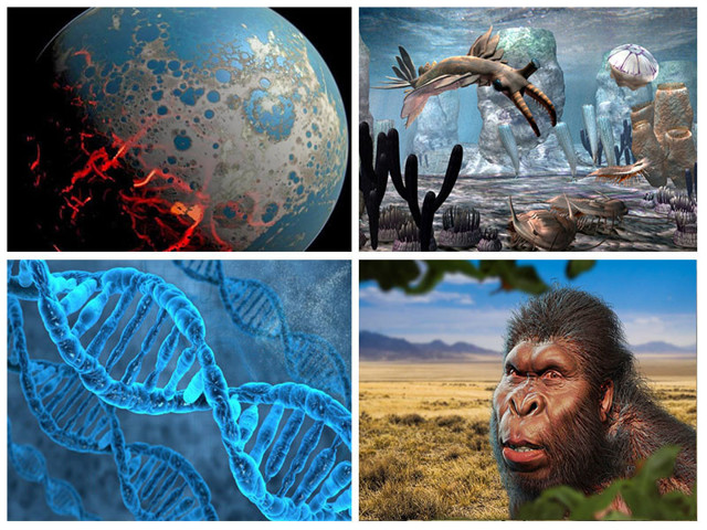 Невероятная эволюция человечества длиною в 3,5 миллиарда лет!