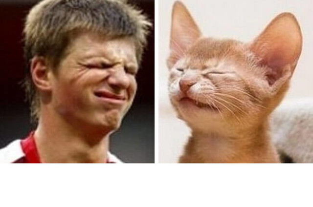 18 знаменитостей и животных, сходство между которыми потрясает