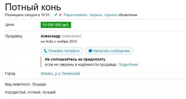 Объявления АВИТО