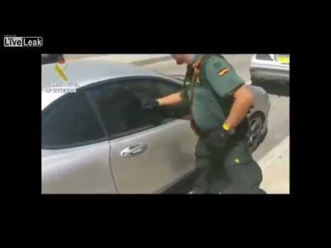 Спасение собаки в жару