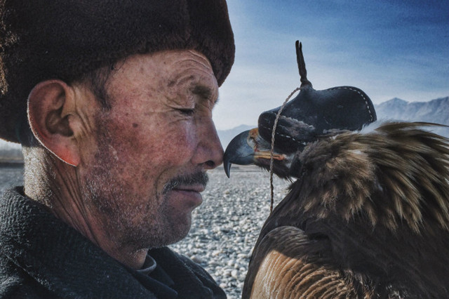 Лучшие снимки iPhone Photography Awards 2016