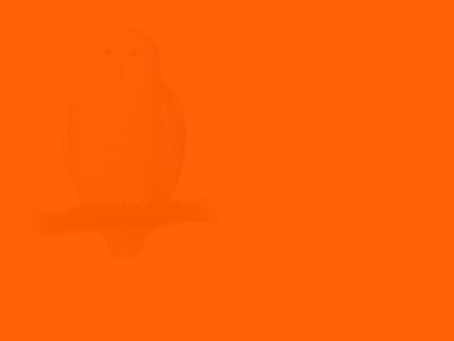 Только интроверты могут увидеть скрытые здесь картинки!