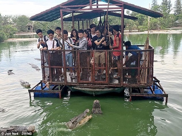 Не хотите ли поплавать? Фото китайских туристов, кормящих крокодилов на хлипком плоту, взорвало Сеть