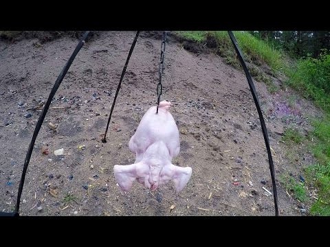 Можно ли мелкую дичь стрелять любыми патронами?