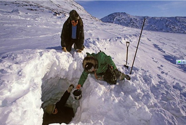  Как эскимосы занимаются подледным ловом мидий  