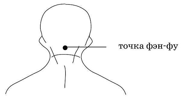 Точка Фэн-Фу и омоложение организма!